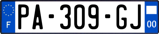 PA-309-GJ