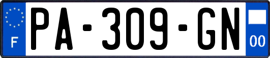 PA-309-GN