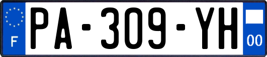 PA-309-YH