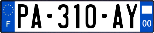 PA-310-AY