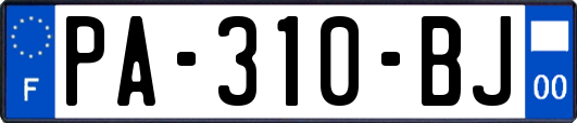 PA-310-BJ