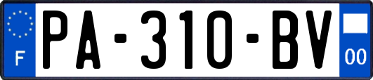 PA-310-BV