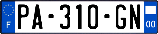 PA-310-GN