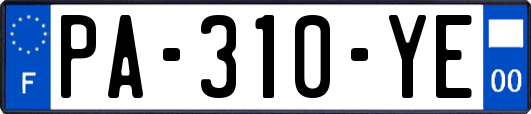 PA-310-YE