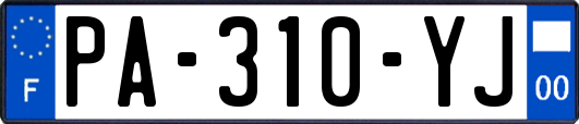 PA-310-YJ