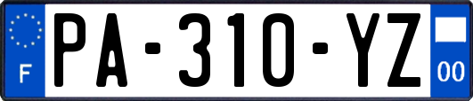 PA-310-YZ