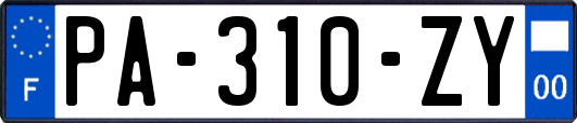 PA-310-ZY