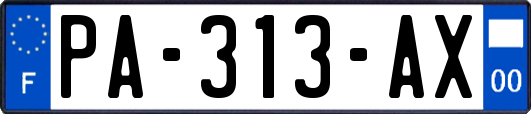PA-313-AX