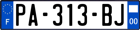 PA-313-BJ