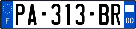 PA-313-BR