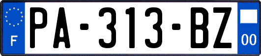PA-313-BZ