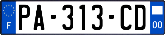 PA-313-CD
