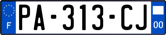 PA-313-CJ
