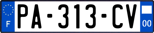 PA-313-CV