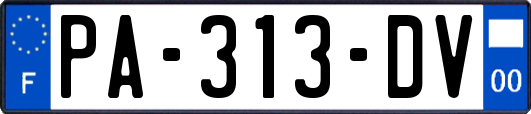 PA-313-DV