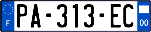 PA-313-EC