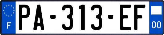 PA-313-EF