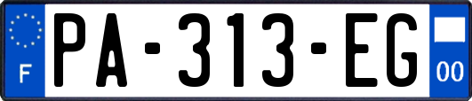 PA-313-EG