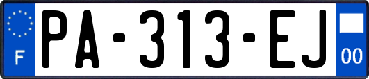 PA-313-EJ