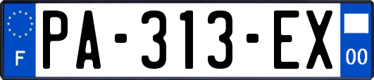 PA-313-EX