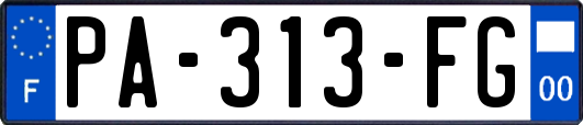 PA-313-FG