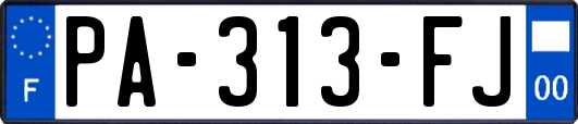 PA-313-FJ