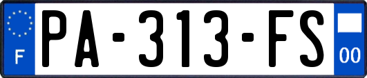 PA-313-FS