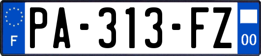 PA-313-FZ