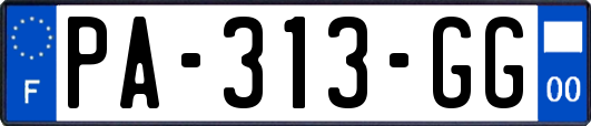PA-313-GG