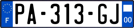 PA-313-GJ