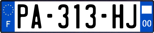 PA-313-HJ