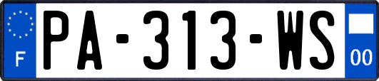 PA-313-WS