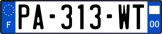 PA-313-WT