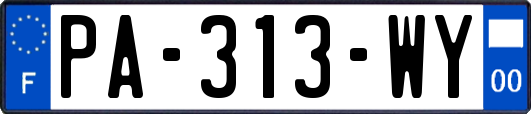 PA-313-WY