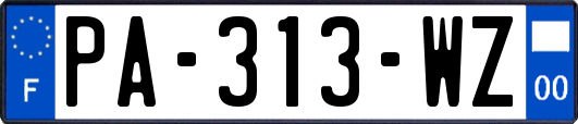 PA-313-WZ