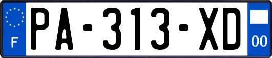 PA-313-XD