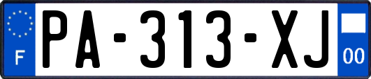 PA-313-XJ