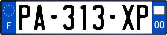 PA-313-XP