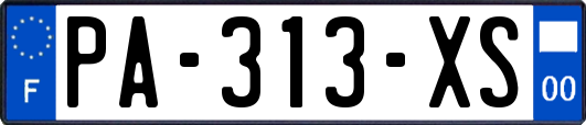PA-313-XS