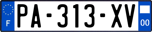 PA-313-XV