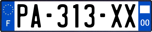 PA-313-XX