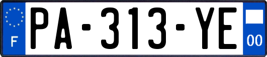 PA-313-YE