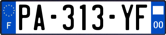 PA-313-YF