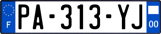 PA-313-YJ