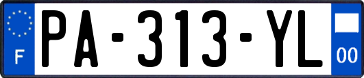 PA-313-YL