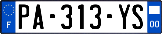 PA-313-YS