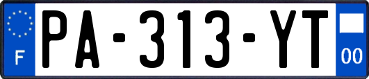 PA-313-YT