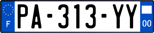PA-313-YY