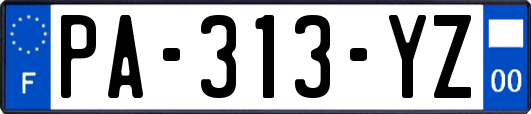 PA-313-YZ
