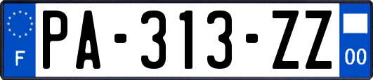 PA-313-ZZ